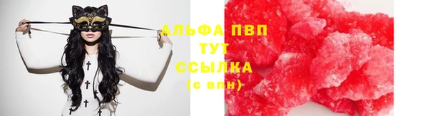 трава Богородицк