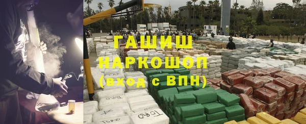 гашик Богданович
