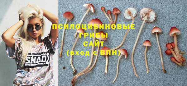 гашик Богданович