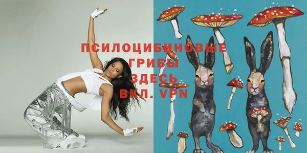 трава Богородицк