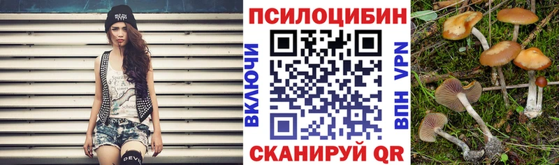 Галлюциногенные грибы Cubensis  Купить закладки  Славгород 