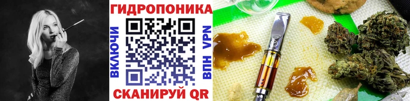 Купить где Славгород Бошки Шишки индика